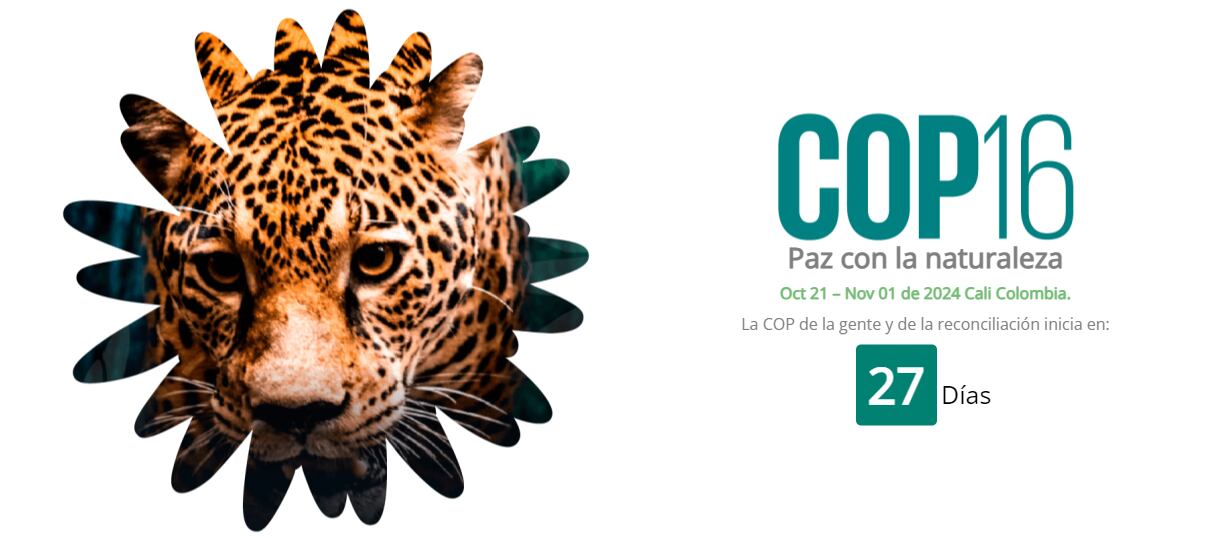 El evento se llevará a cabo del 21 de octubre el 1 de noviembre.