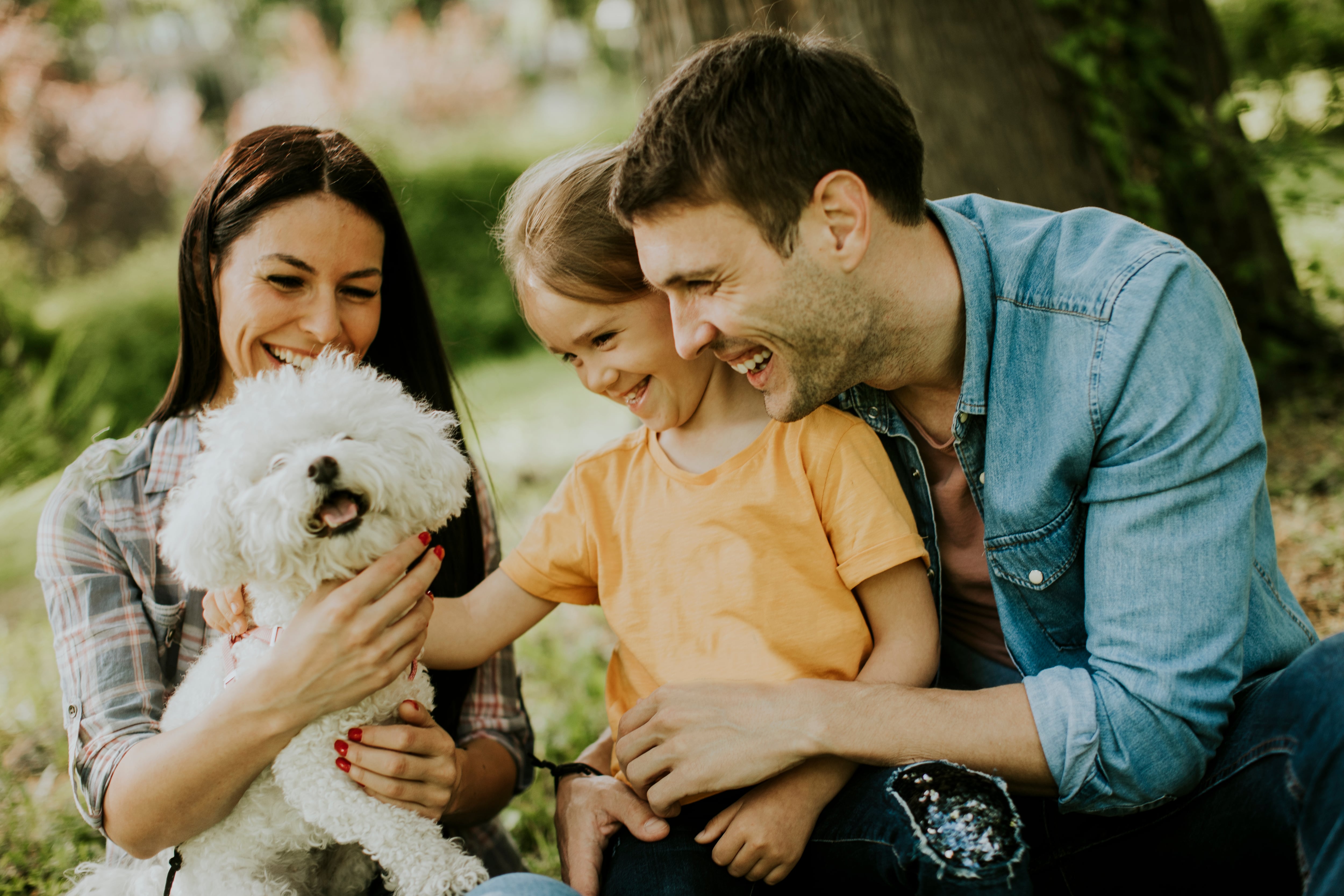 Nueva ley solucionaría gran problema con las mascotas en Colombia.