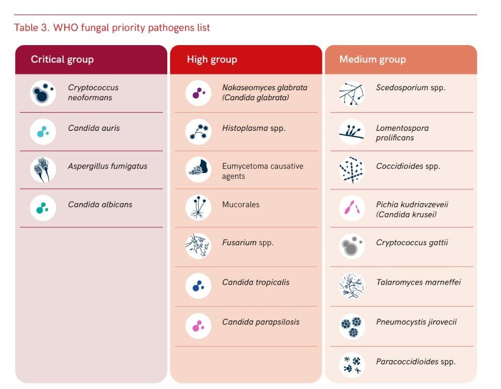 Prioridad fúngica de la OMS lista de patógenos para guiar investigación, desarrollo y acción de salud pública.