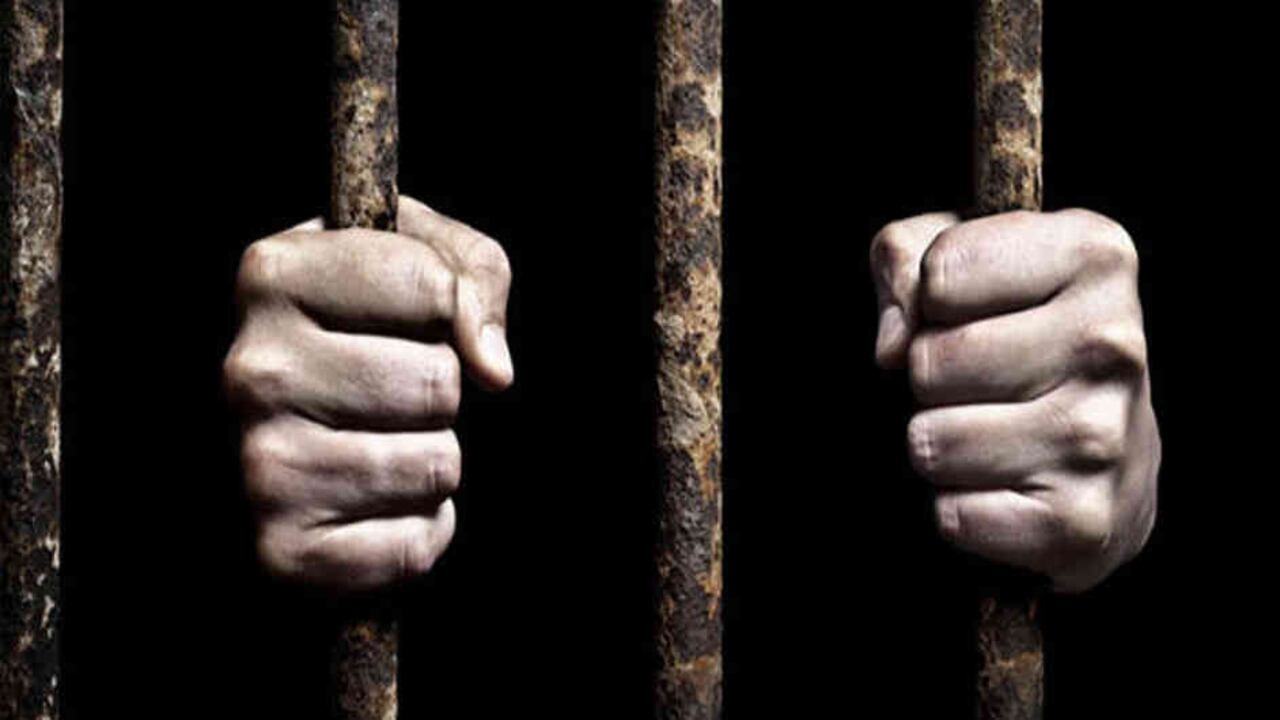 Según los demandantes, la norma "no protege la dignidad de los niños, niñas y adolescentes” porque consideran que “no adopta medidas para su protección o atención ni aborda los problemas sustanciales de los fenómenos de violencia”.