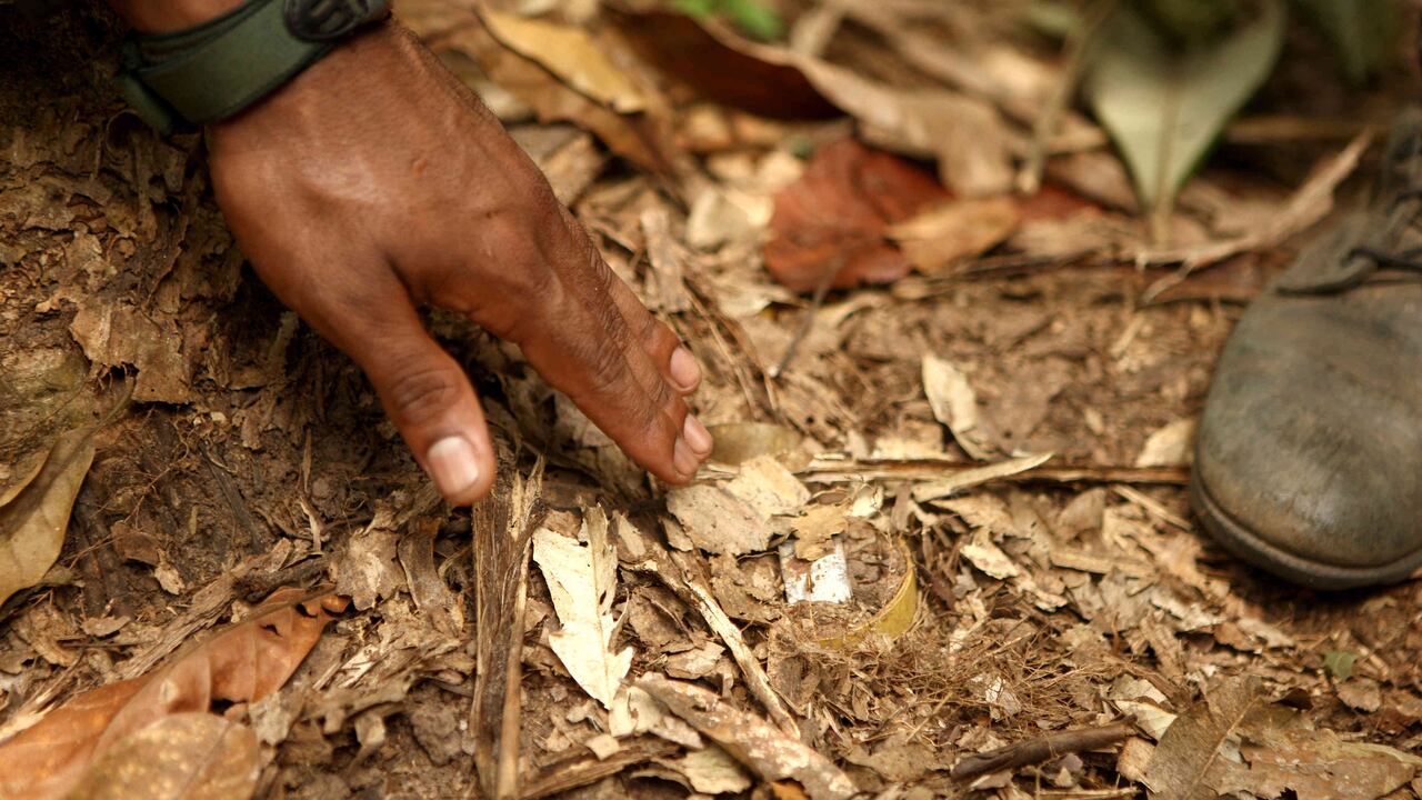 Con el caso de Geison Calderón ya son 11.461 las víctimas de minas antipersonal en Colombia. Foto: Daniel Reina / SEMANA