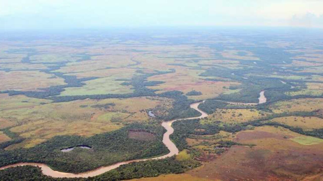 El Gobierno destinará siente millones de hectáreas para este ambicioso proyecto.