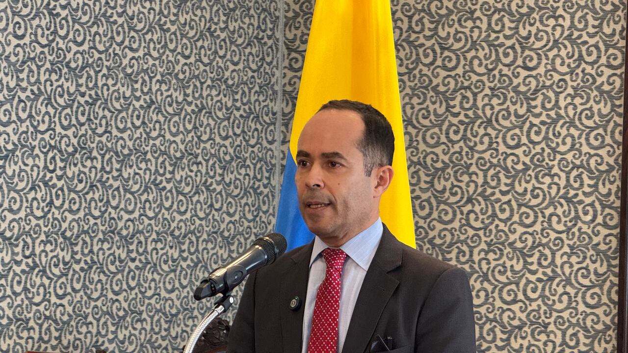 El vicecanciller de Colombia aseguró que el país ha avanzado en la lucha contra el narcotráfico.