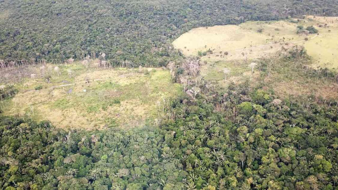 Colombia es dueña de más de 980 áreas protegidas y cinco regiones mega ecosistémicas e hidrológicas, sin embargo, los hechos dan cuenta de la falta de protección de estas áreas.