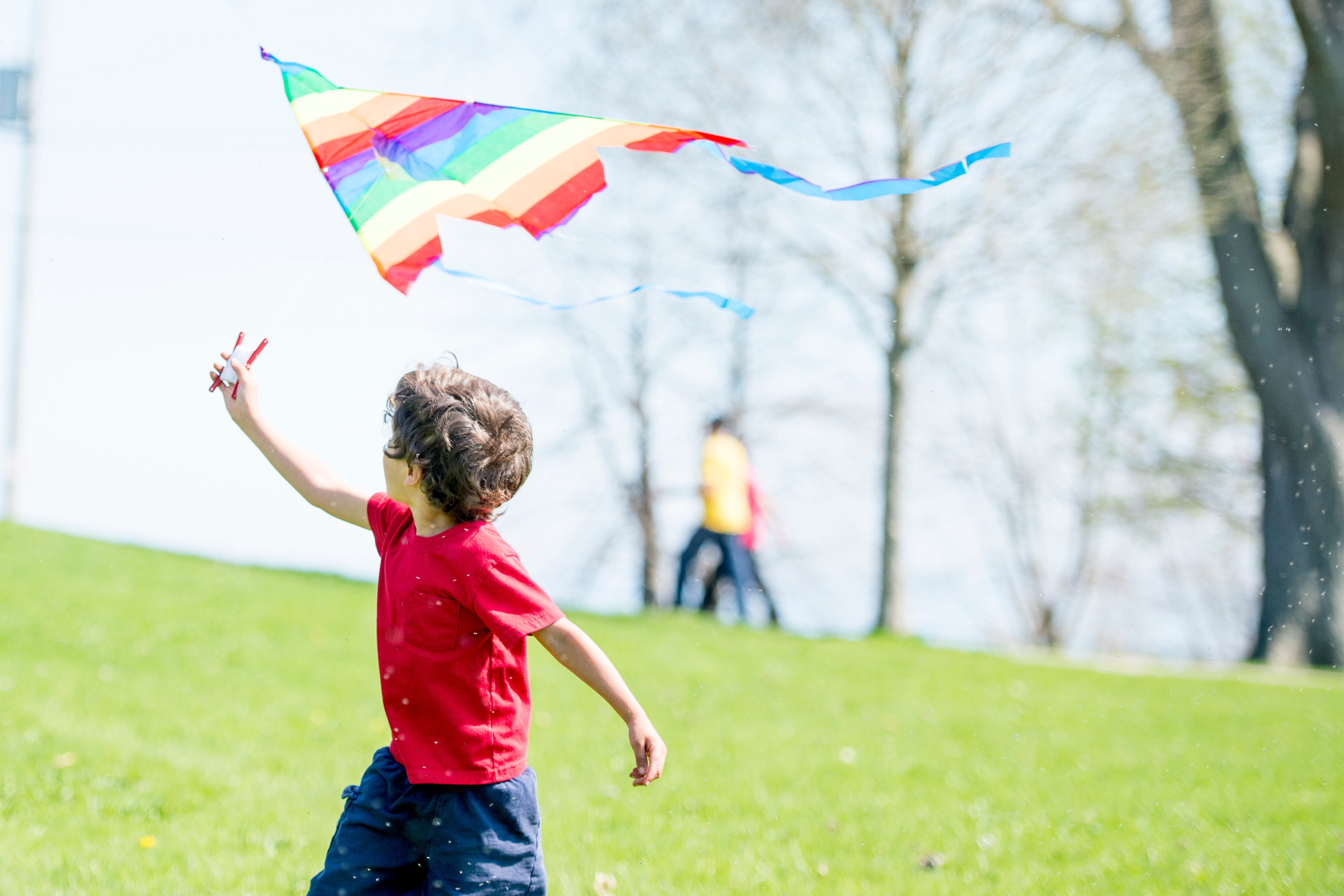 Lo polémico de la ley