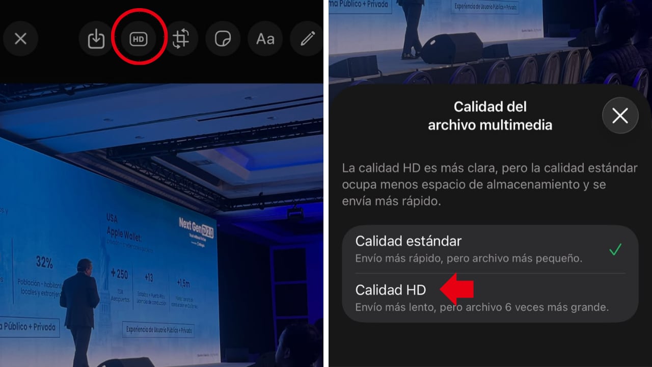 Esta opción evita cambiar la configuración general de calidad de la aplicación.