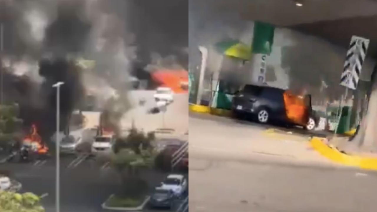 Algunos de los desmanes en México.