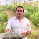 Marihuana style, la singular historia del congresista Alejandro Ocampo