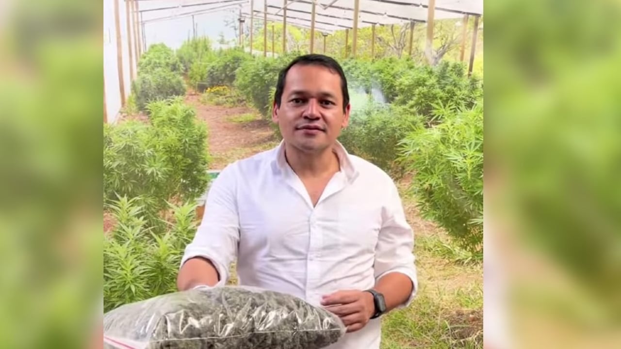 Marihuana style, la singular historia del congresista Alejandro Ocampo