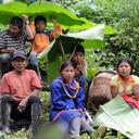 Fueron 139 familias las que retornaron a su tierra, en los municipios de Mistrató y Pueblo Rico (Risaralda), donde fueron recibidos por hermanos de su comunidad.