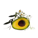 Manzanilla y aguacate: ¿cómo utilizarlos para aumentar la producción de colágeno en la piel?