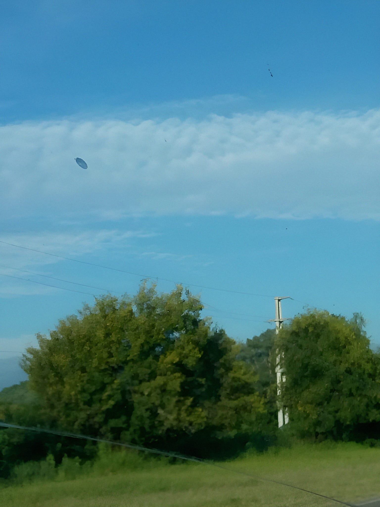 "En ese momento no sentí miedo, pero cuando llegué a mi casa y vi las fotos me llevé una sorpresa grande. En las imágenes se ve clarito todo. Esto tuvo una gran repercusión porque se lo comenté al delegado comunal", dijo la mujer