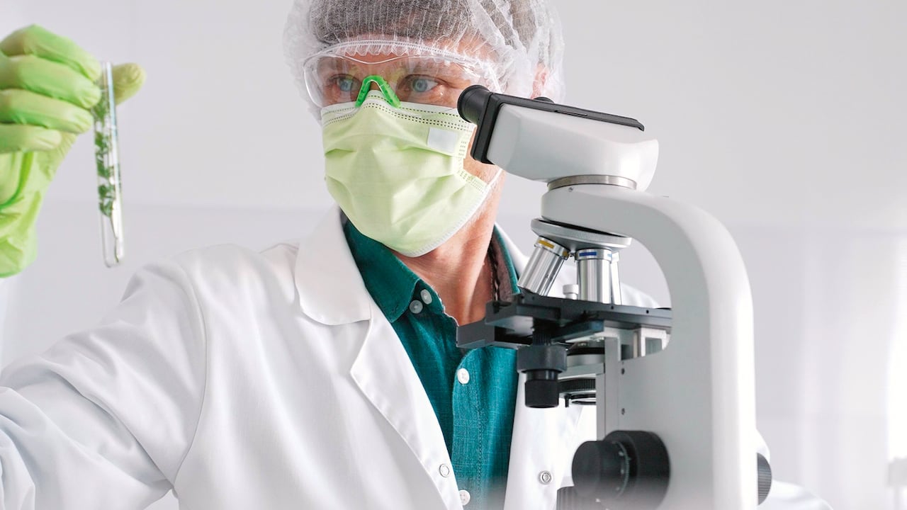 Con medicamentos basados en ingredientes de origen natural, Laboratorios Heel impulsa en Colombia la medicina biorreguladora.