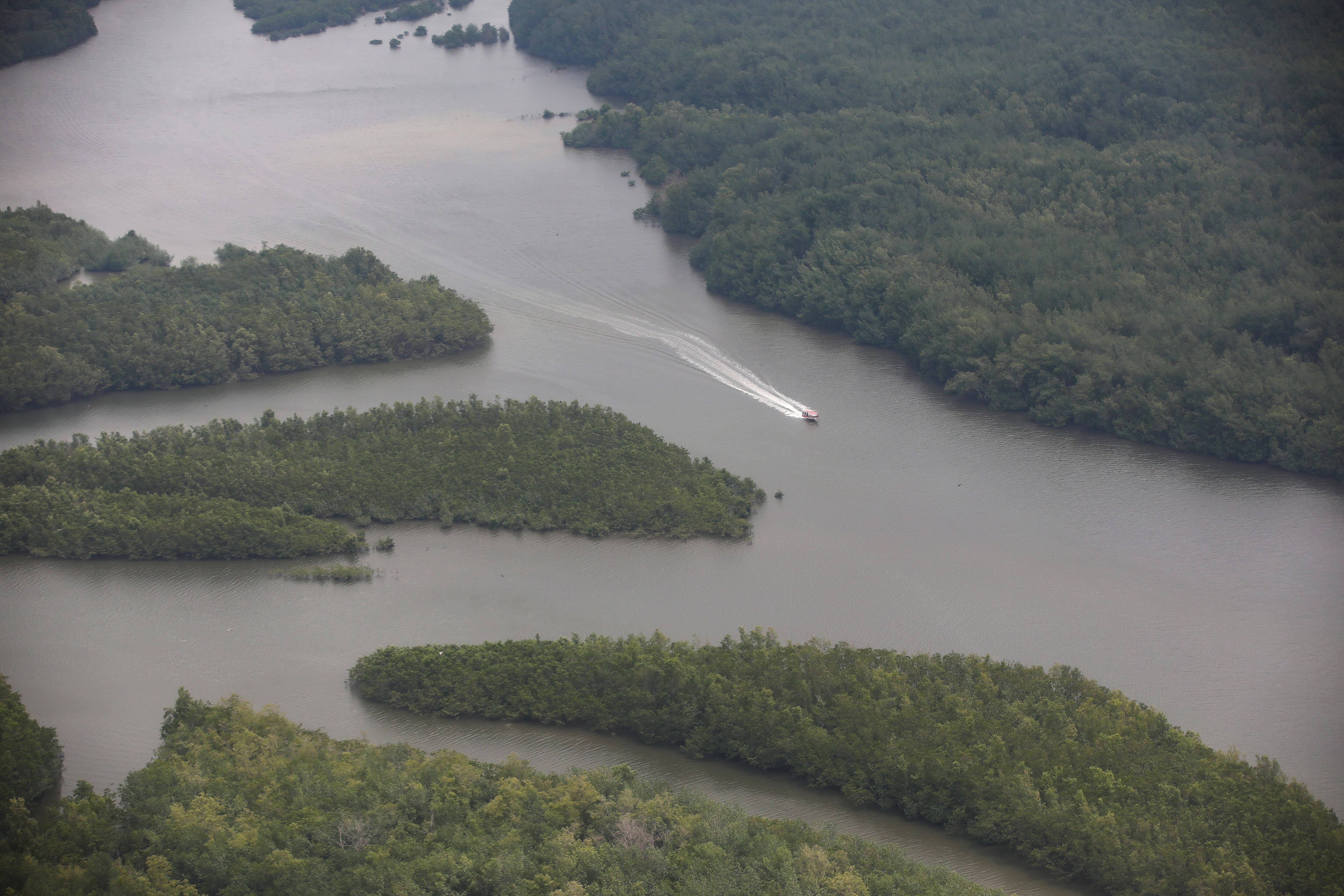 Tumaco - Jardín Botánico de Nueva York en Nariño.