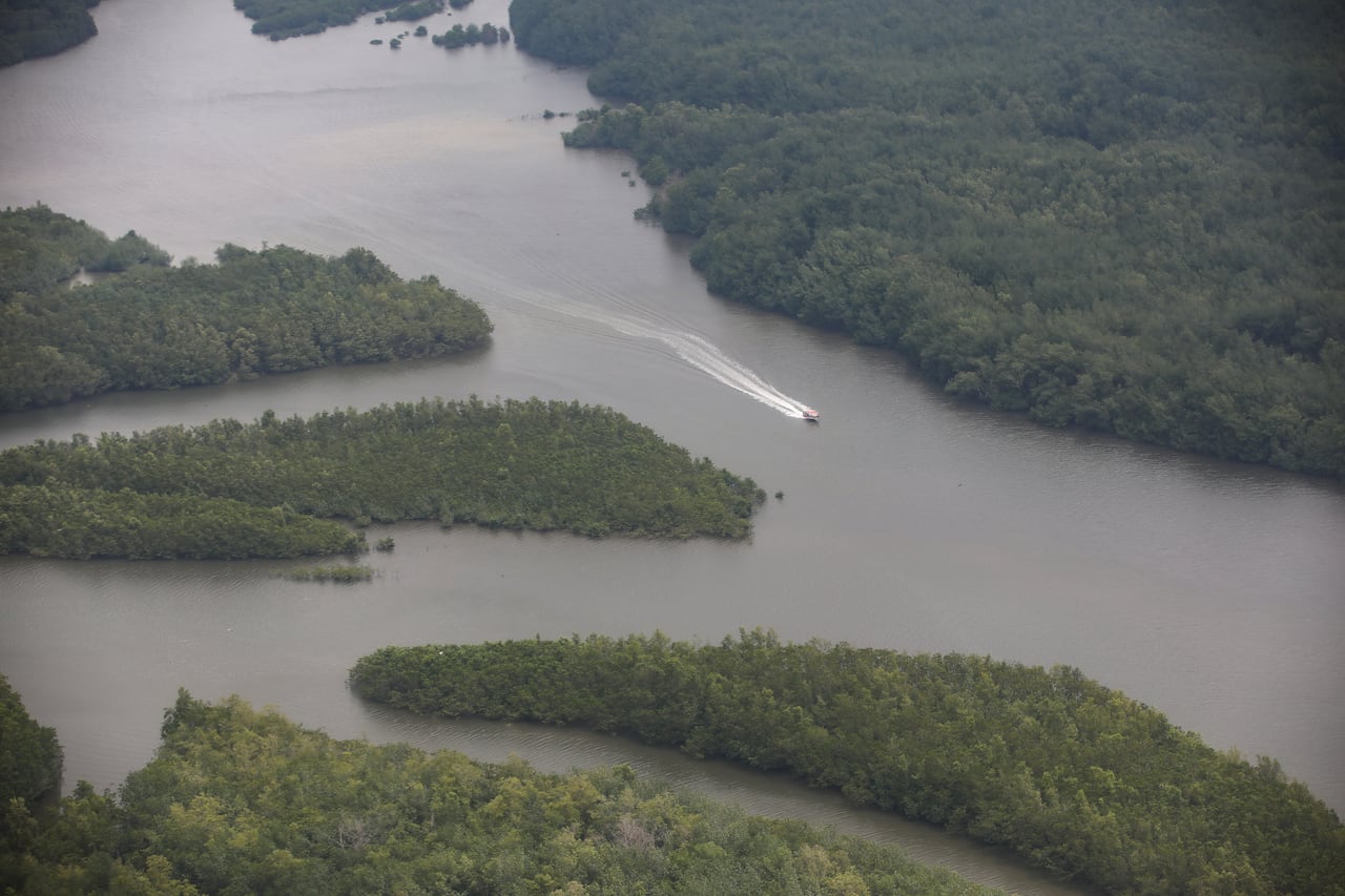 Tumaco - Jardín Botánico de Nueva York en Nariño.