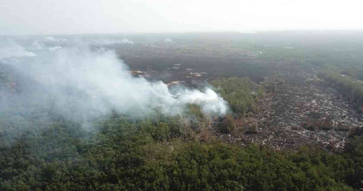 Las llamas han generado importantes cantidades de humo que han afectado la calidad del aire. Foto: Bomberos Sitionuevo