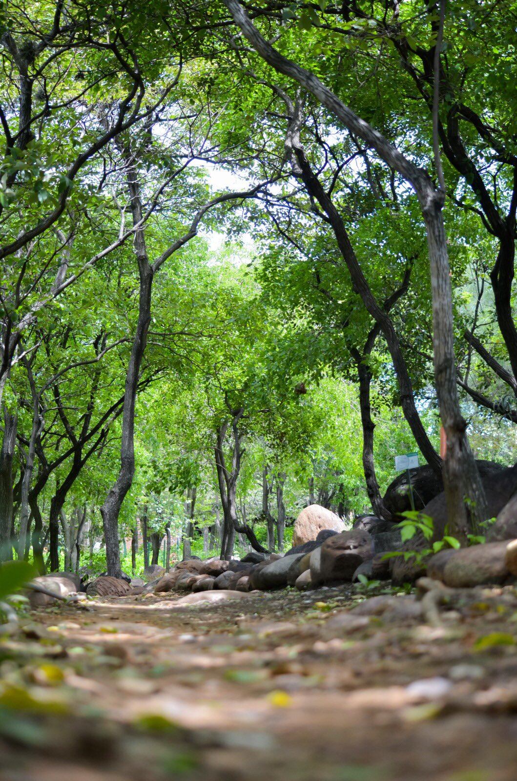 Alrededores de El Malecón.