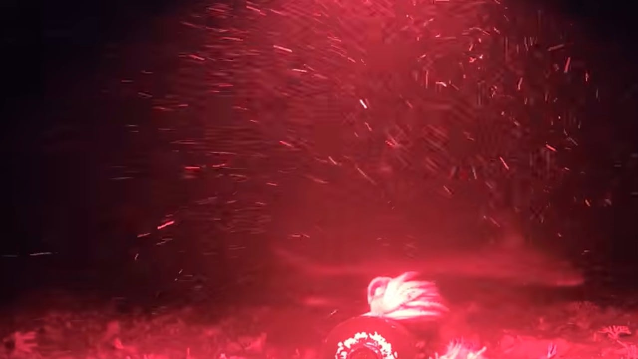 Estas son las imágenes del fondo del océano que captaron varias especie, pero hubo una que desconcertó a los expertos.