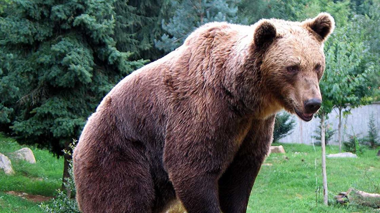 Foto: Jean-noël Lafargue