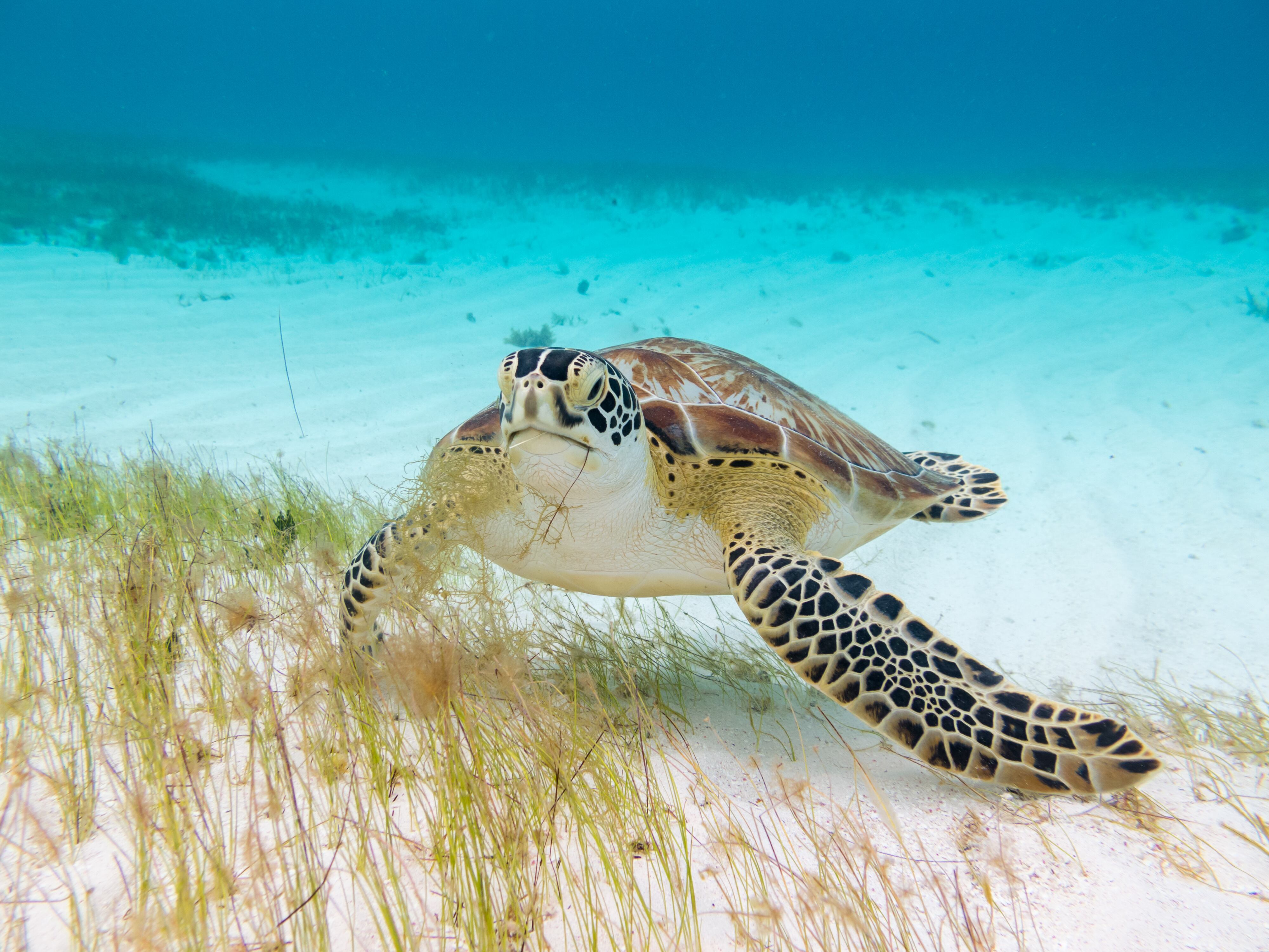 San Andrés recibió 86 mil turistas en junio de 2024.