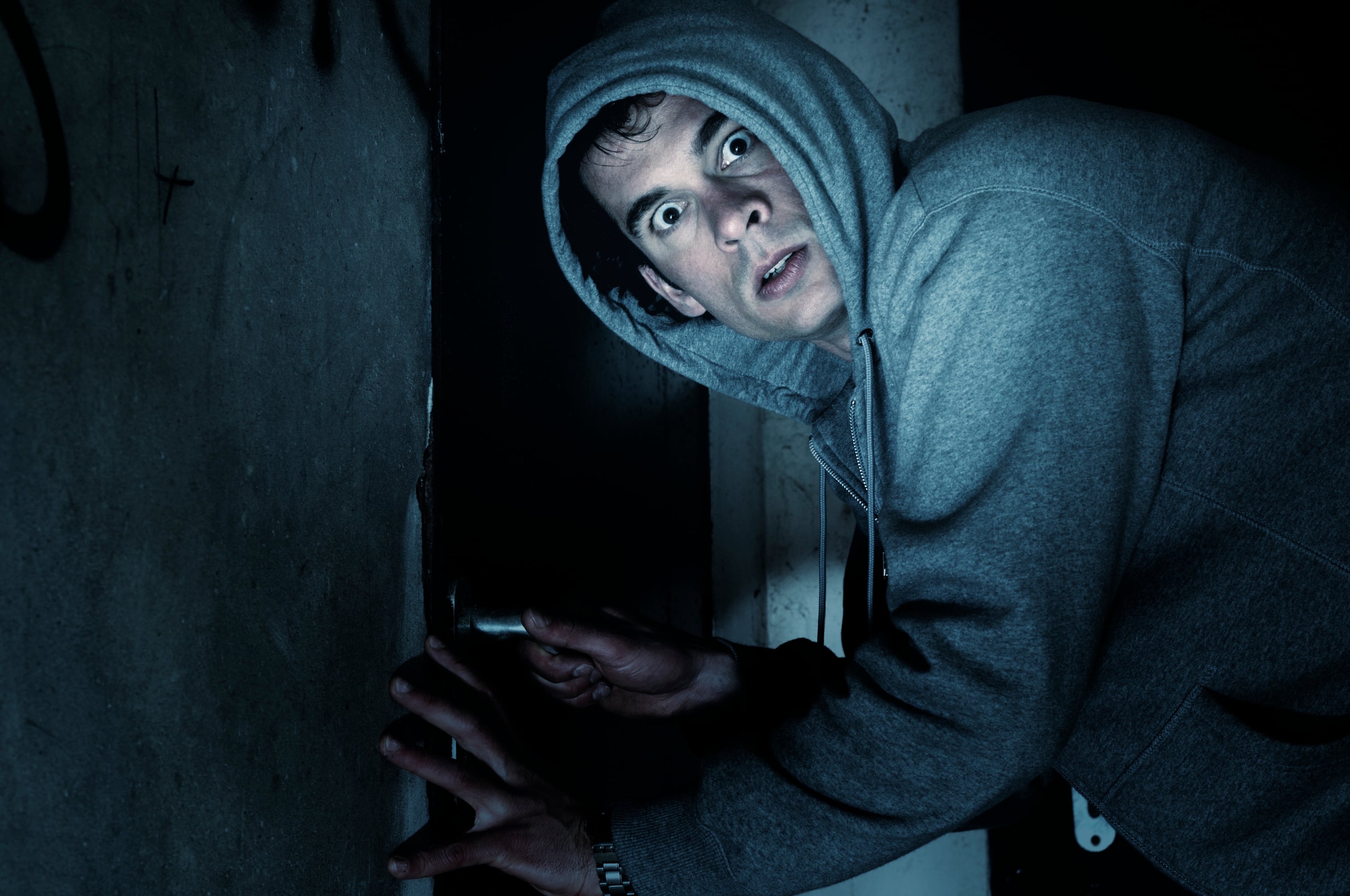 Los dispositivos inteligentes en el hogar podrán impedir que los ladrones roben una casa