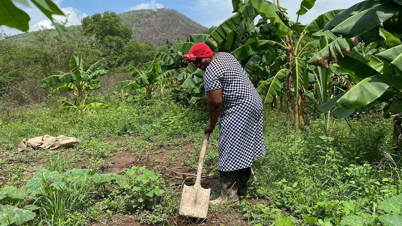 Las mujeres en la ruralidad enfrentan un amplio listado de retos.