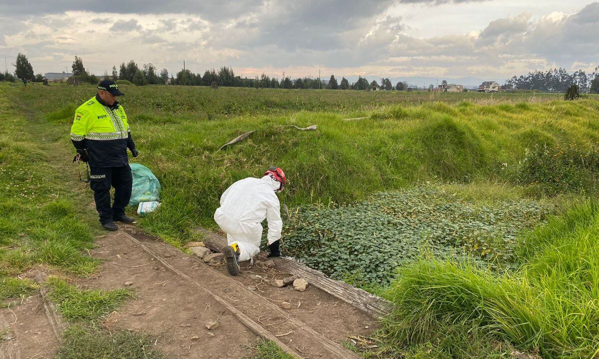 Masacre en Mosquera.