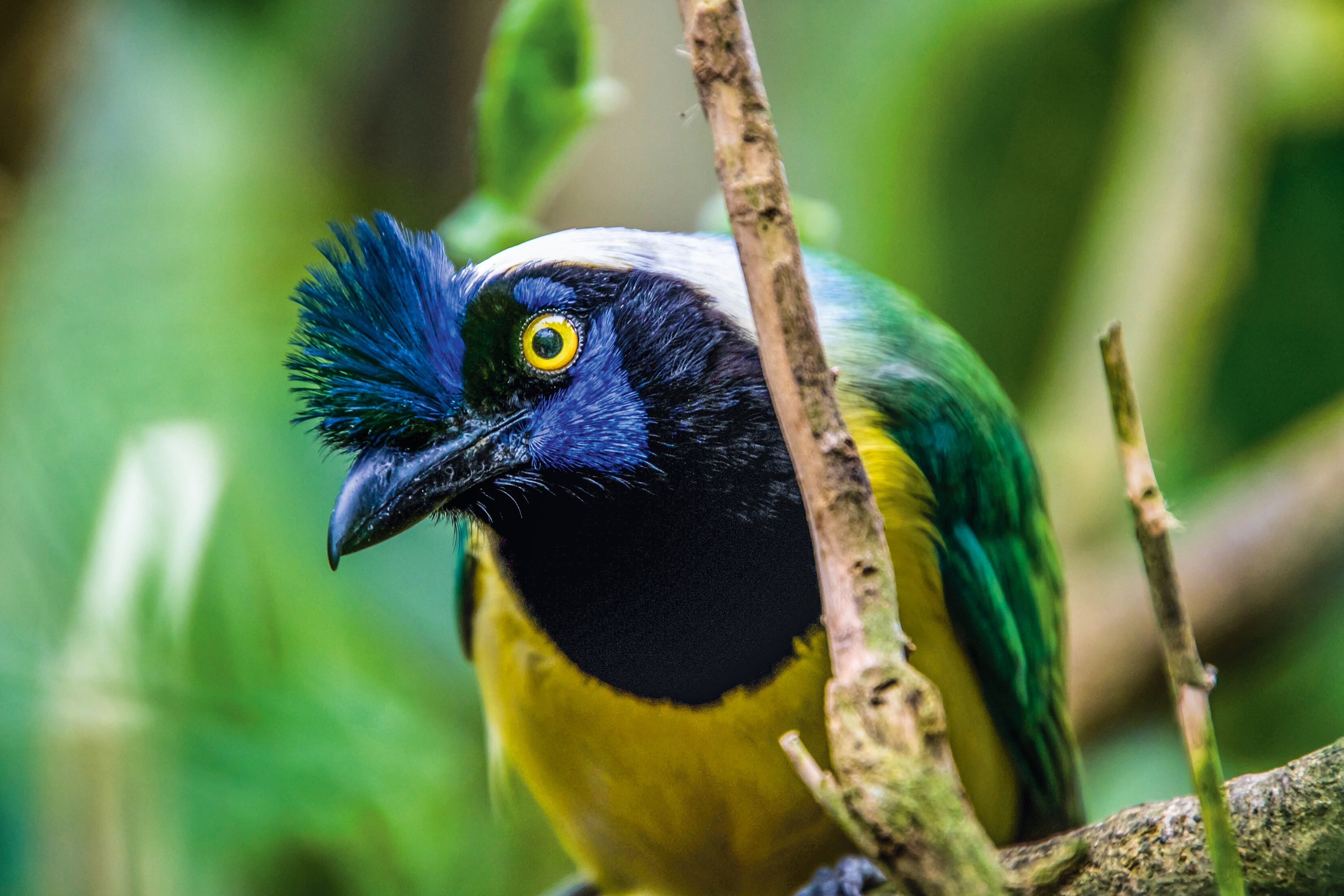 NO USAR. USO EXCLUSIVO COMERCIAL.