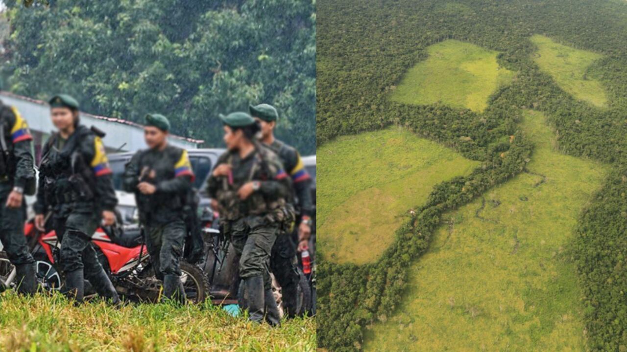 Ecocidio en el Meta, a manos de supuestos integrantes de las disidencias de las Farc.