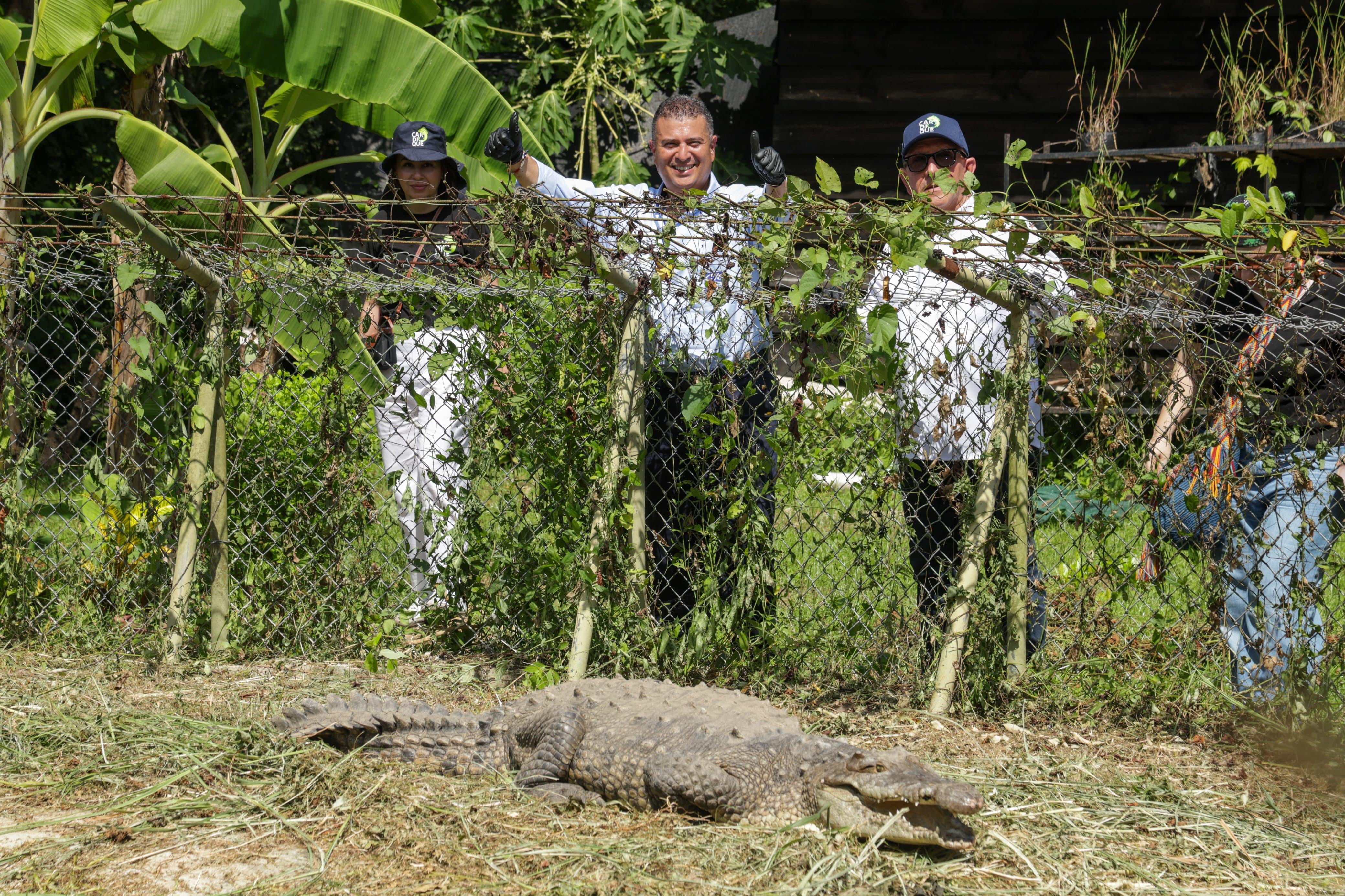 Ñata vivía en el patío de una casa en Palmira