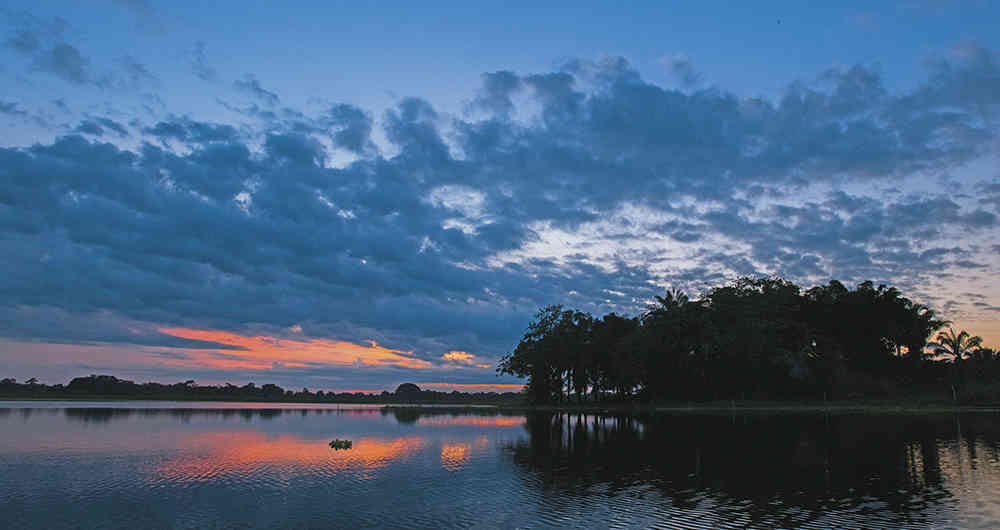 Ciénaga de la Palagua, en Puerto Boyacá