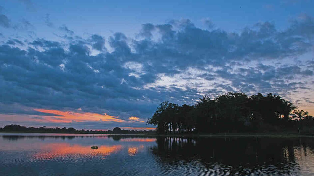 Ciénaga de la Palagua, en Puerto Boyacá.