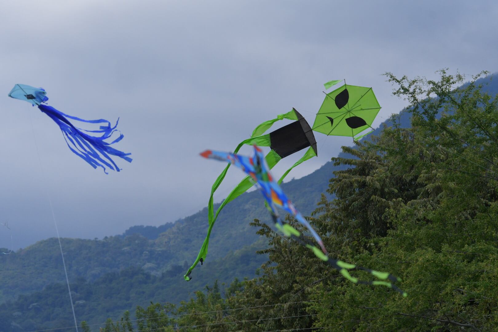 Festival departamental de cometas "paraíso de todos". Este festival se realiza en el municipio de cerrito en la hacienda el paraíso.