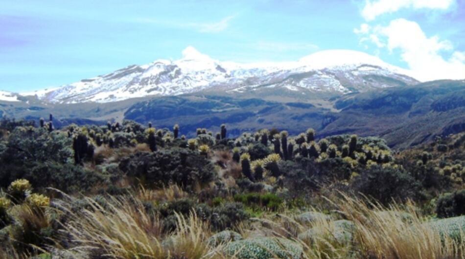 Parque Nacional Los Nevados.