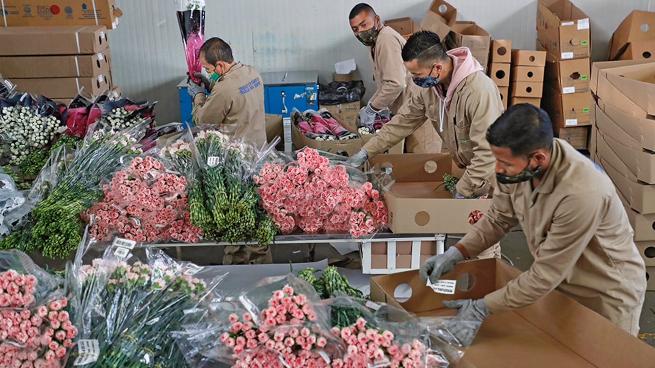 “Una reforma laboral no puede ser vista simplemente como una serie de cambios en las leyes y regulaciones laborales, sino como un esfuerzo para mejorar las condiciones de trabajo, la calidad de vida de los trabajadores en el país en la medida en que la productividad se incremente”, señala el estudio de los Observatorios Laboral y Fiscal de la Universidad Javeriana.