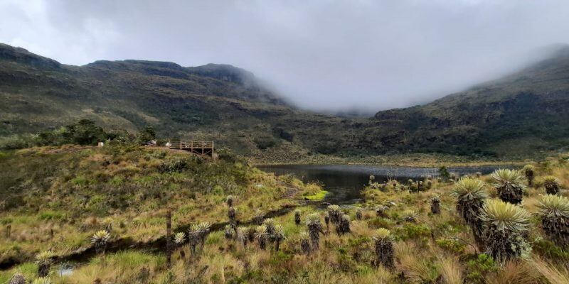 Con un área de 6.889 hectáreas, distribuidas entre los municipios de Villa de Leyva, Arcabuco y Chíquiza, este parque natural es la fuente hídrica más importante del territorio y un destino reconocido para el ecoturismo.