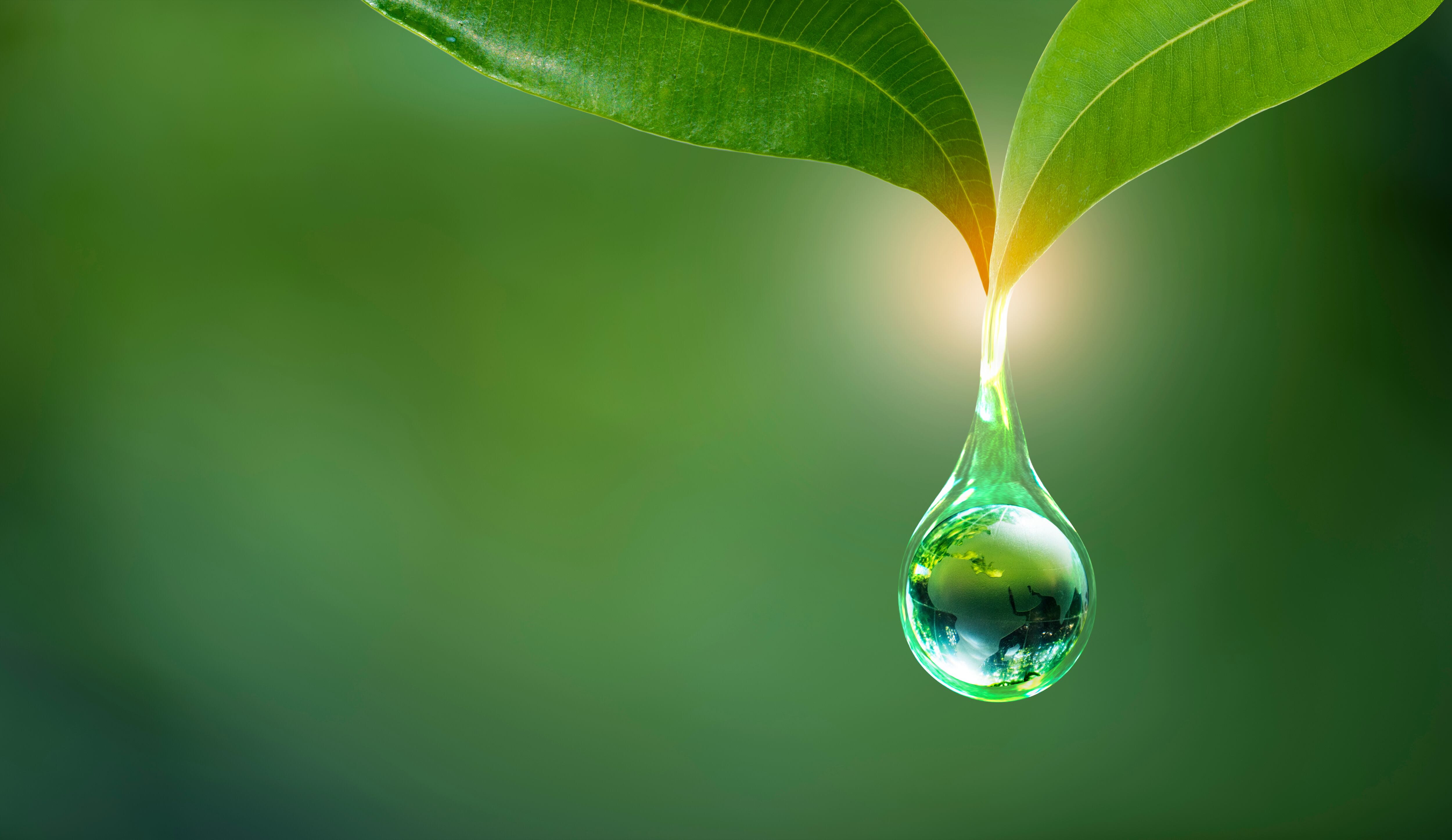 Agua para las plantas