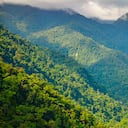 Se puede disfrutar de un menú criollo influenciado por las culturas prehispánicas y basado en las flores de las montañas de la Sierra Nevada.