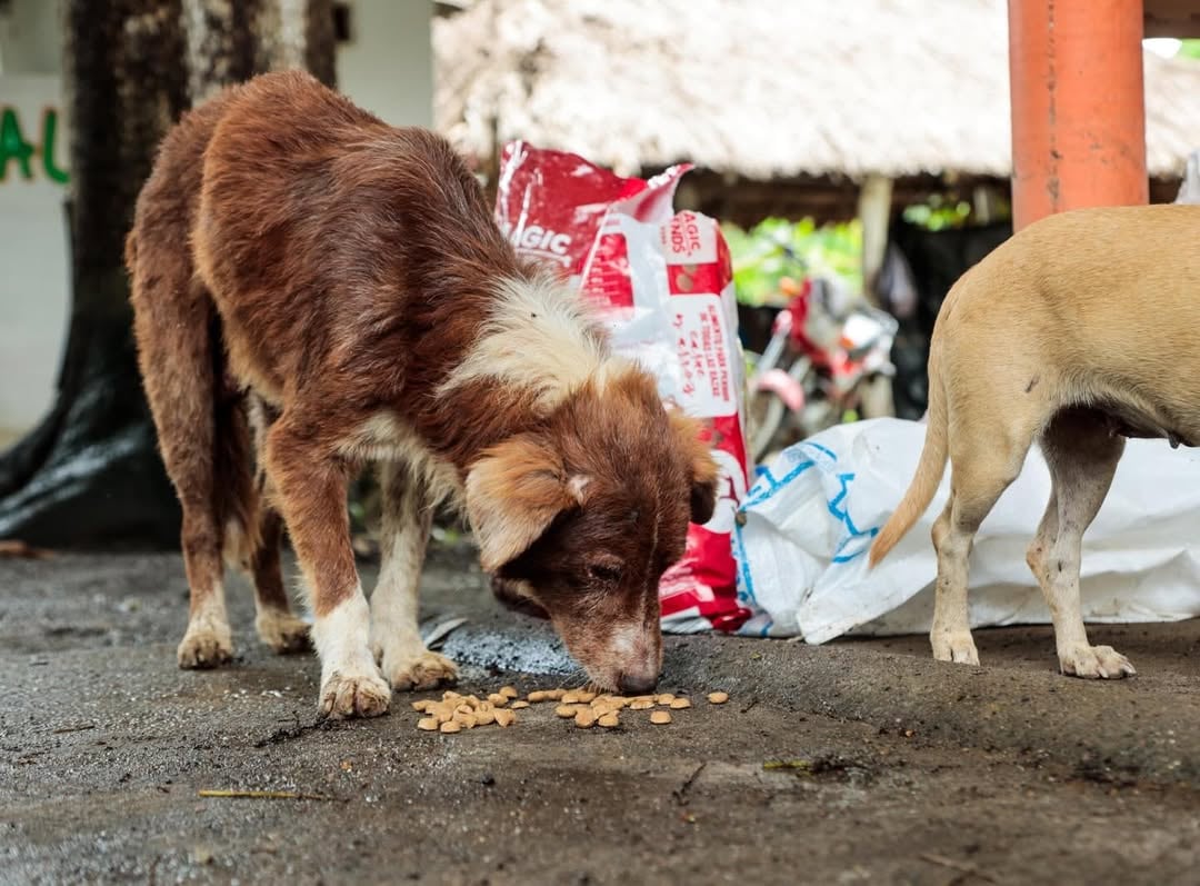 Instituciones del Estado, el sector empresarial y personajes de la cultura han sumado esfuerzos ante una emergencia sin precedentes en el departamento.