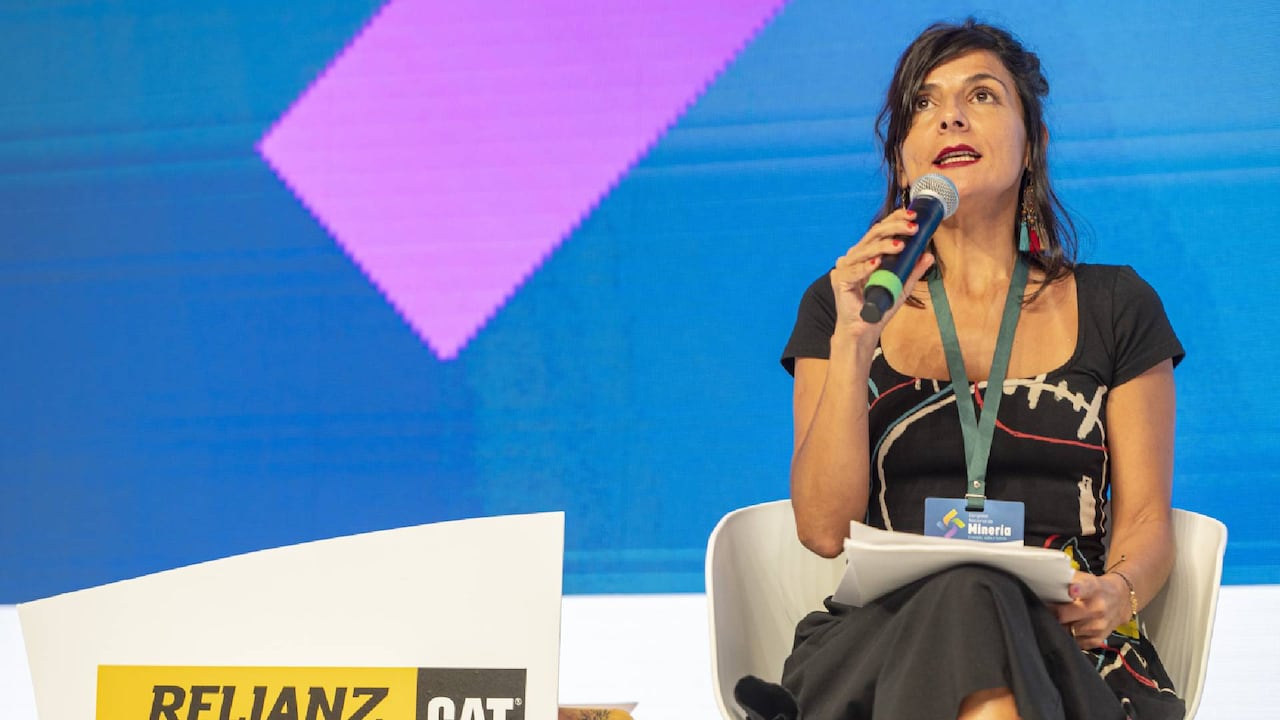 El llamado de atención llegó por parte del senador Carlos Fernando Motoa.