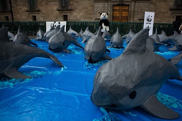 Los pescadores de San Felipe aseguran que el gobierno no ha cumplido con las promesas previas de hacer pagos compensatorios por los ingresos perdidos por la prohibición de redes en la zona.