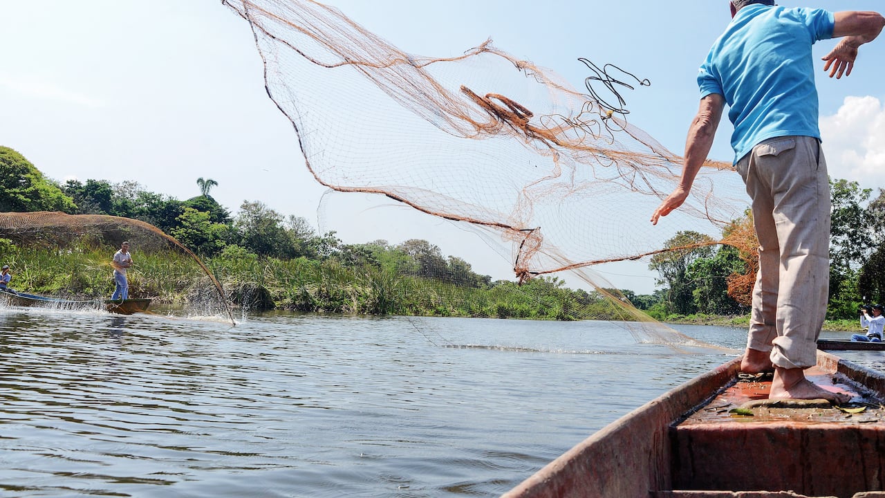 La Laguna de Sonso o del Chircal, se encuentra ubicada sobre la margen derecha del río Cauca, entre los municipios de Buga, Yotoco y Guacarí.