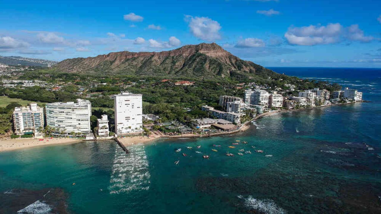 Las autoridades sanitarias ya han alertado de las precauciones que se deben tener para no ingerir accidentalmente el parásito. Foto: Wikimedia Commons.