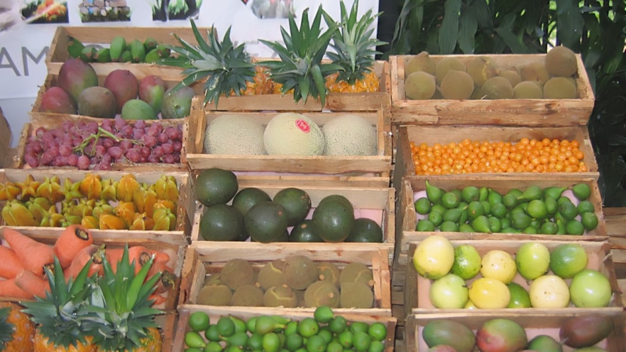 Desmienten que haya desabastecimiento de alimentos en Antioquia/Foto: Secretaría de Agricultura Antioquia/Página web