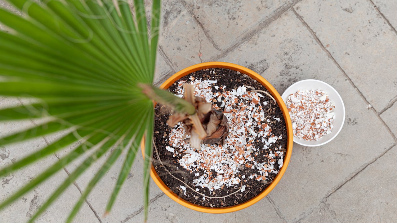 Tanto la falta como el exceso de fertilizante pueden perjudicar el desarrollo de las plantas.