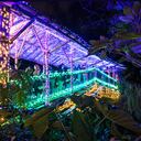 Del 6 de diciembre del 2021 al 16 de enero del 2022, el Jardín Botánico de Bogotá se vestirá de Navidad, con miles de bombillos LED que ambientarán una sensación marítima por medio de figuras representativas del océano.