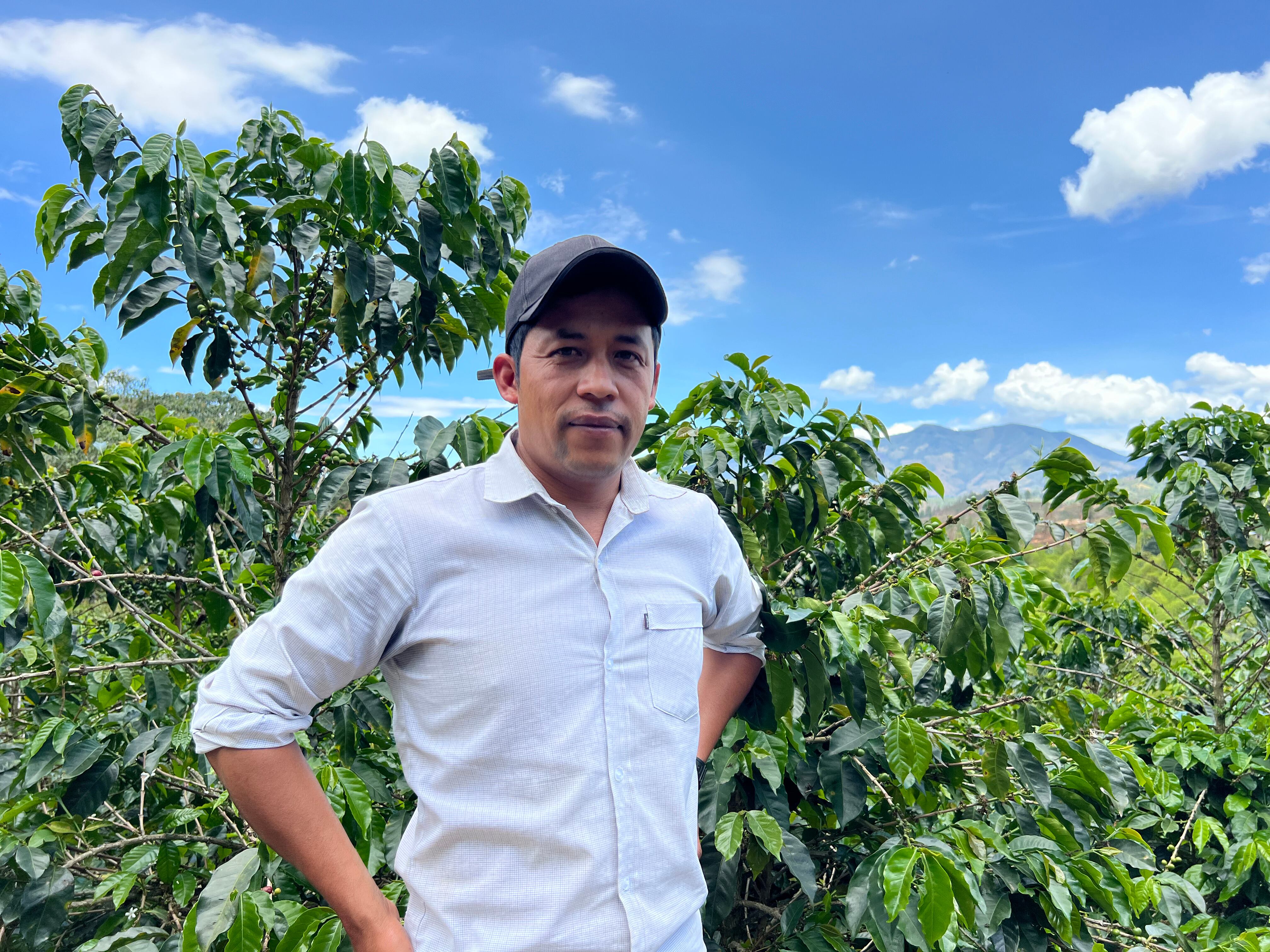 A los 14 años, Jaime Abel Díaz sembró sus primeros 1.000 árboles de café en Pandiguando, El Tambo.