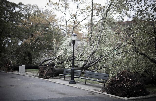El número de muertos en el país aumentó, en muchos casos, por personas aplastadas por árboles caídos.