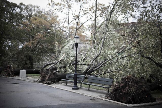 El número de muertos en el país aumentó, en muchos casos, por personas aplastadas por árboles caídos.