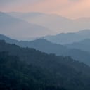 Una nueva especie de lagarto sorprende por sus rasgos y su estrecho hábitat en Tailandia.